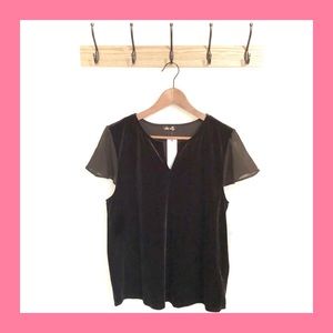 DEE ELLY STITCHFIX Ashe Velvet Flounce Sleeve Top
